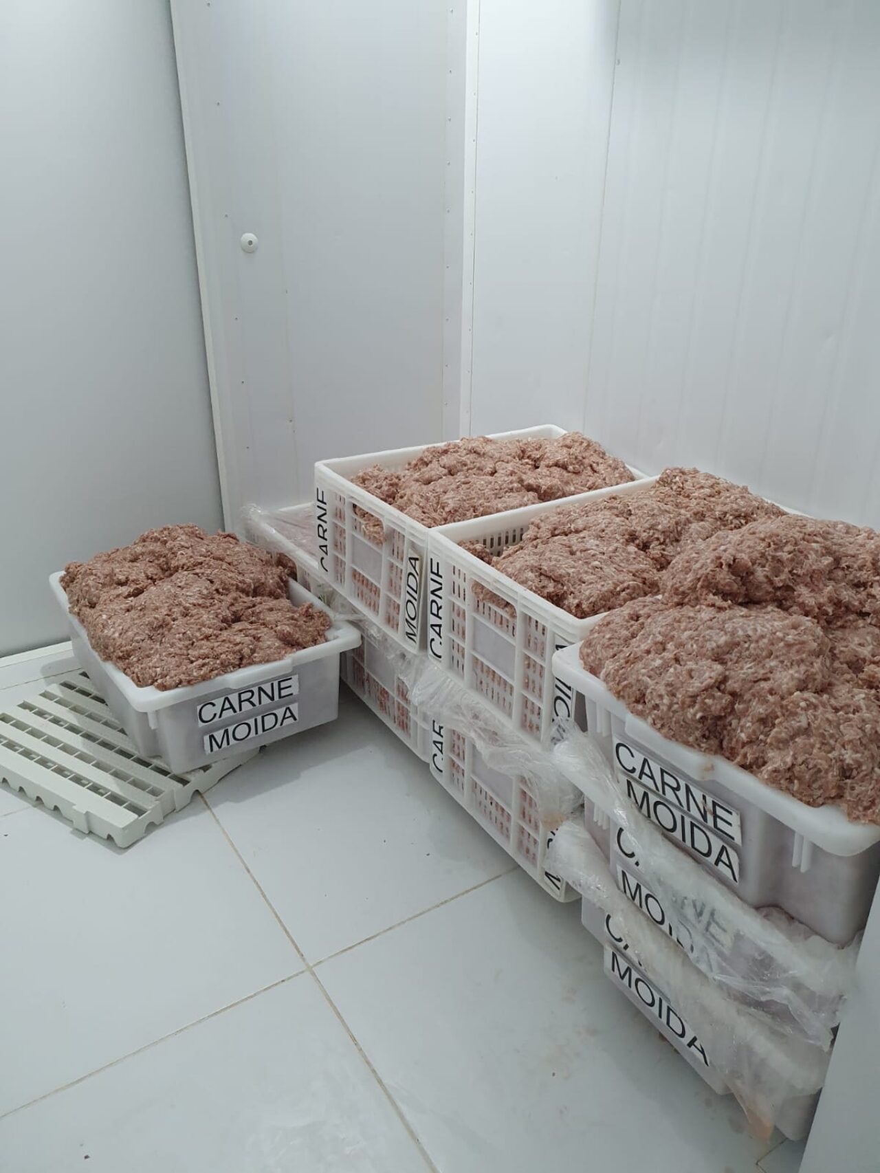 Divulgação