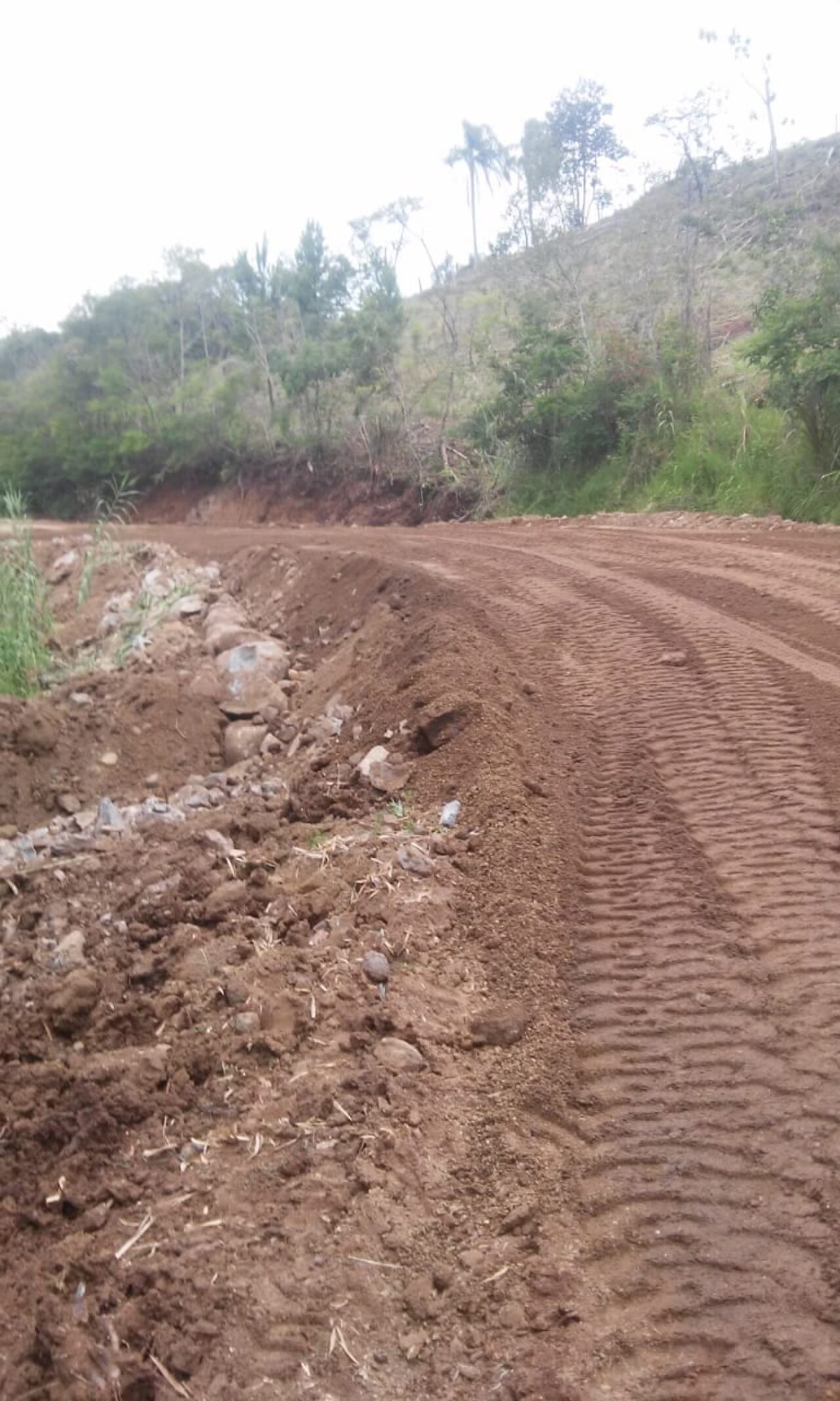 Estrada Amoreiras Liberada