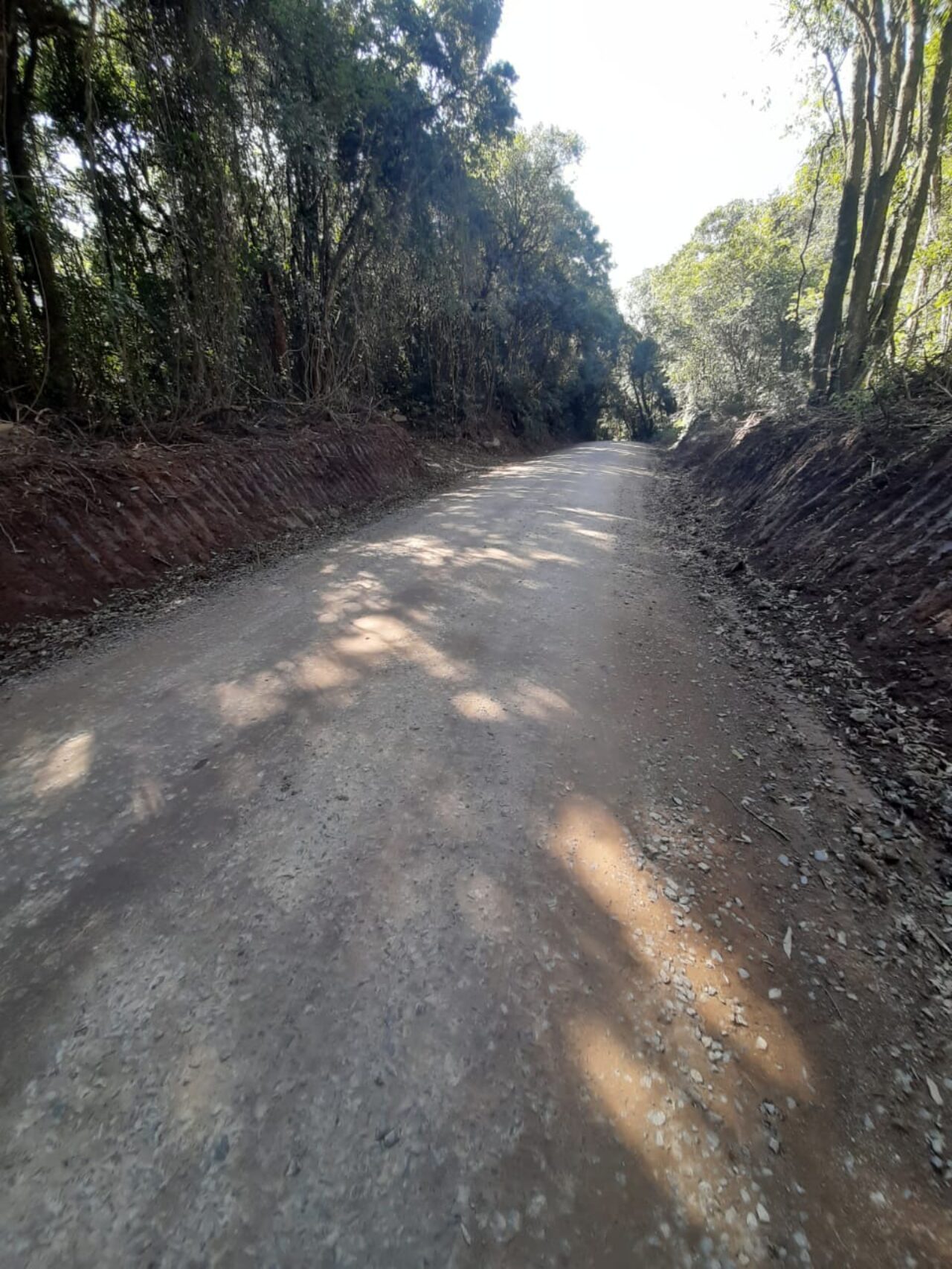 Estrada Bazzan