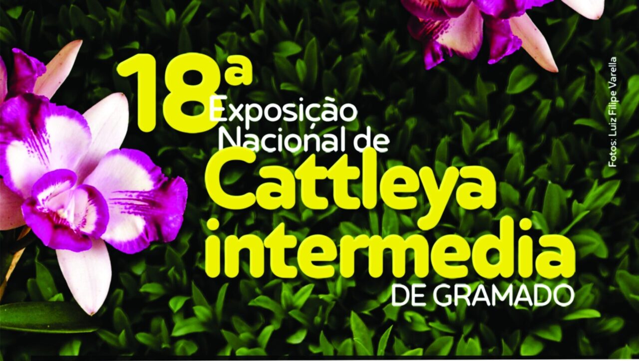 Exposição de orquídeas