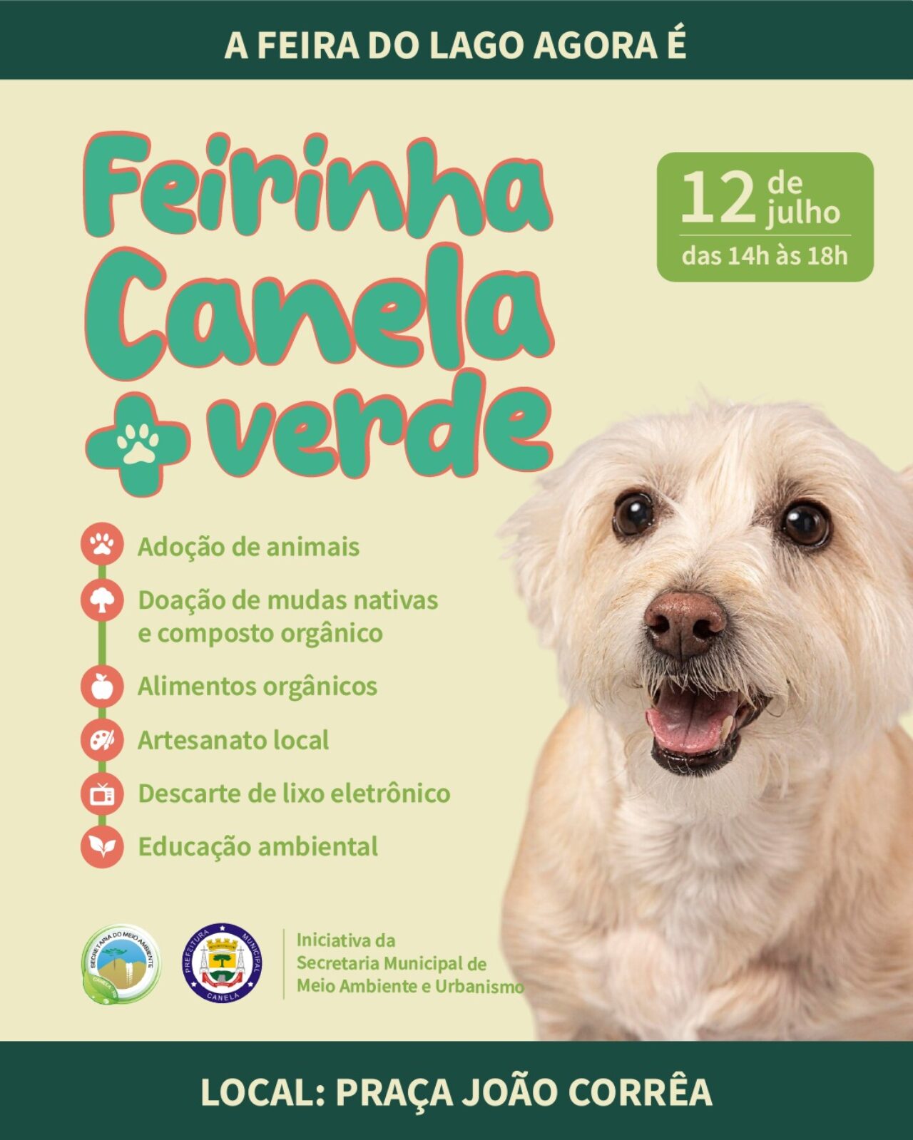 Feira (2)