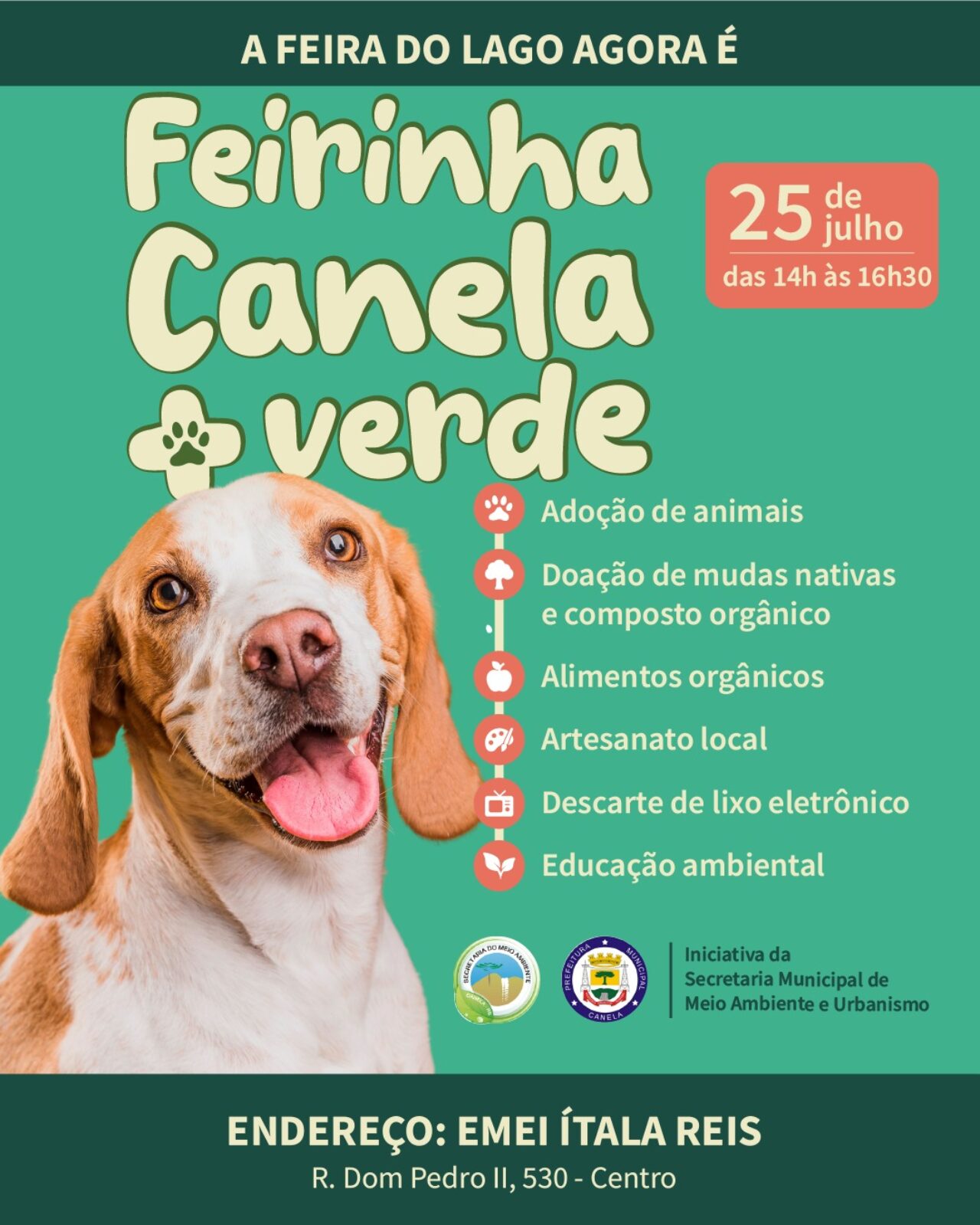 Feira Canela + Verde correto