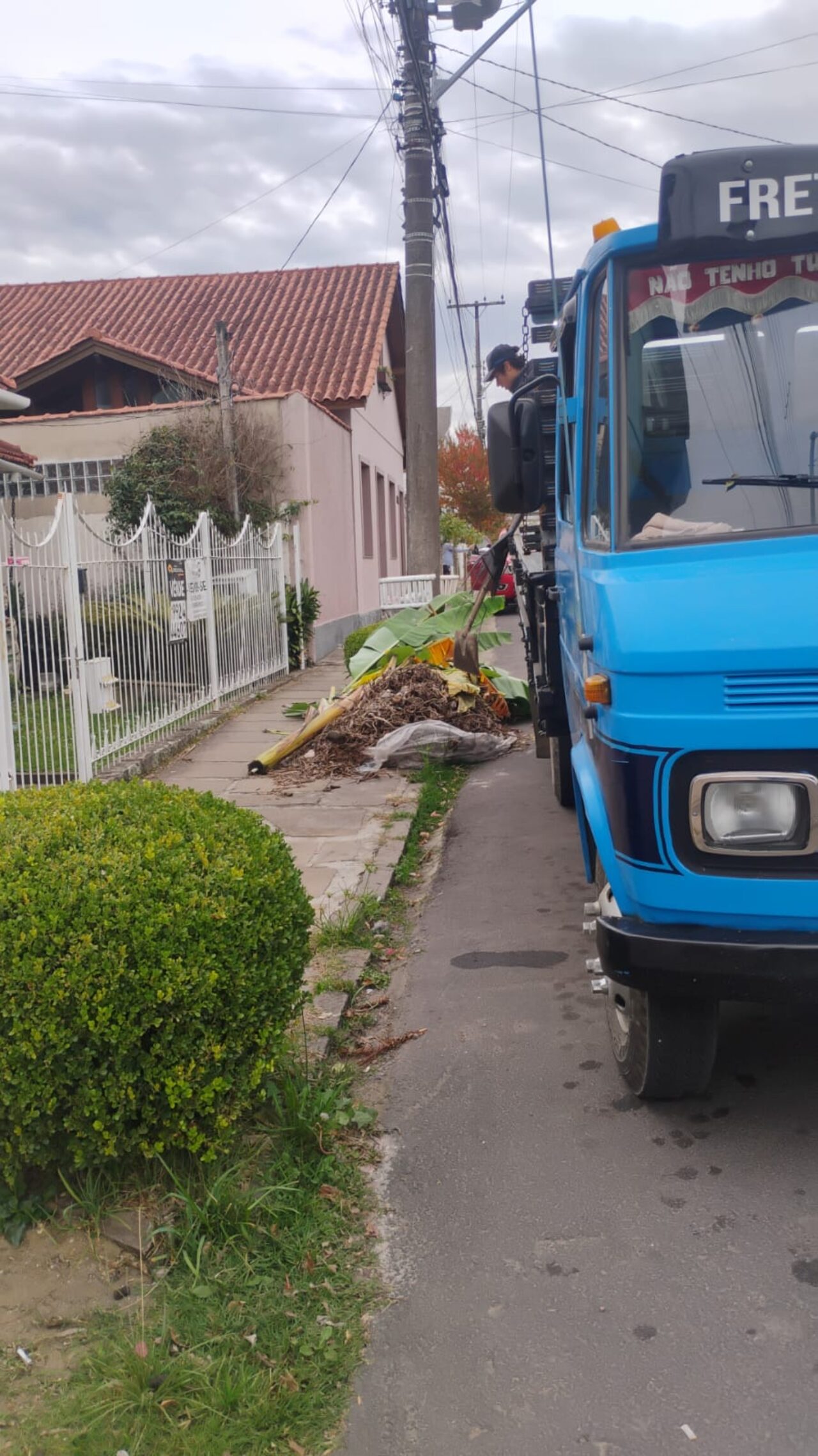 Fotos Divulgação