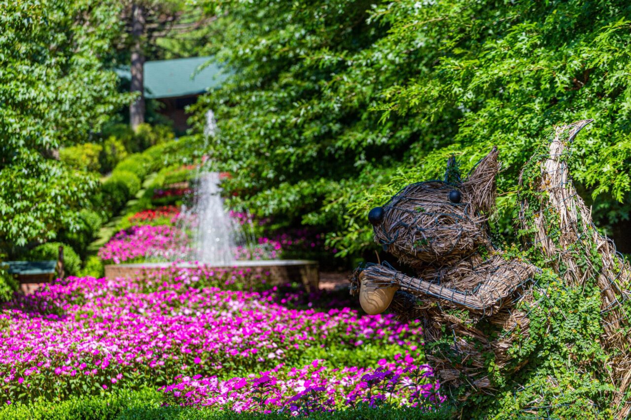 Foto: Garden Park Gramado.