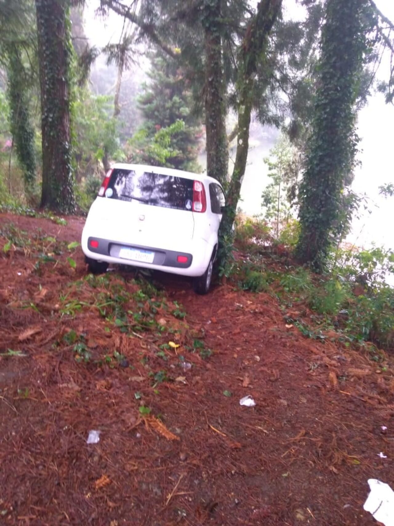 Gramado – Após quase cair com o carro no Lago Negro, homem é preso por embriaguez ao volante