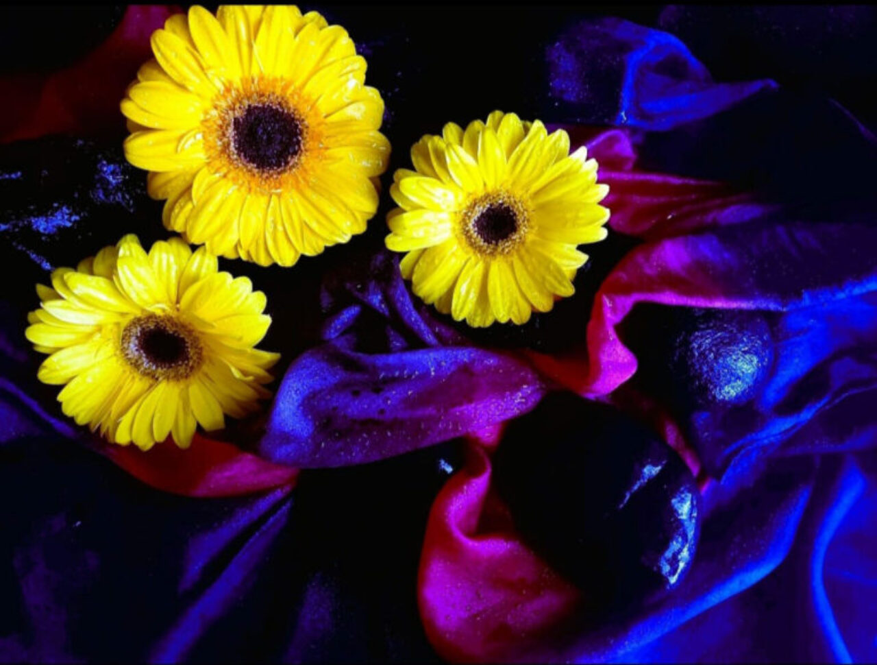 IMAGEM-05-Vida-que-floresce-Marcia-Michaelsen-768x582
