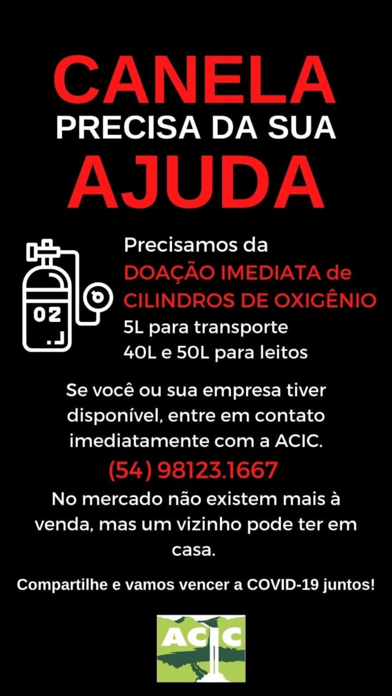 Fotos: Reprodução