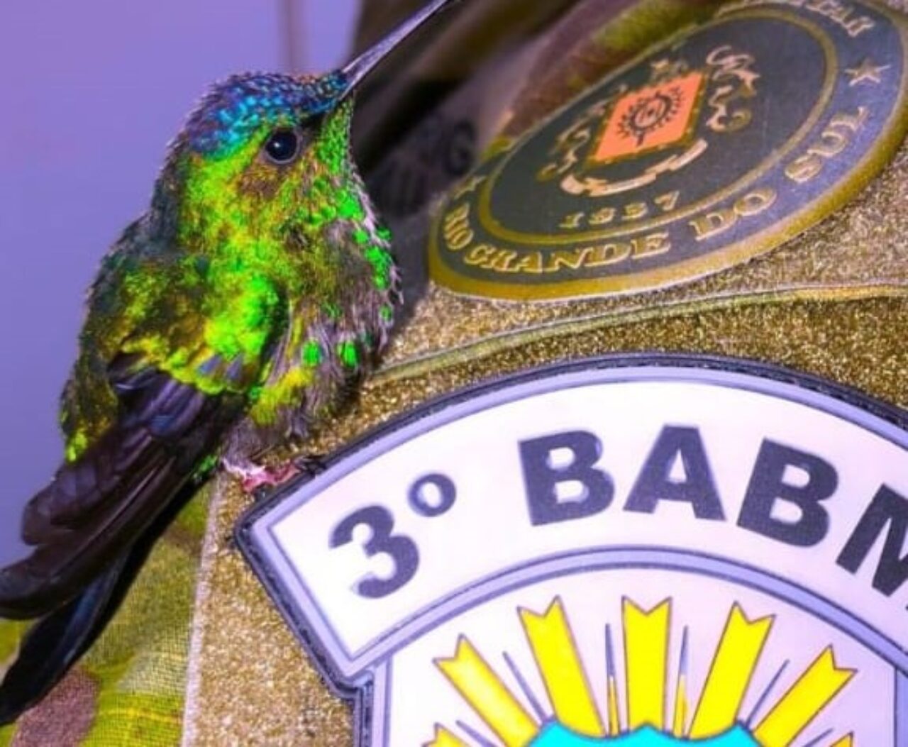 Imagem do WhatsApp de 2024-04-08 à(s) 09.00.44_71d50f14