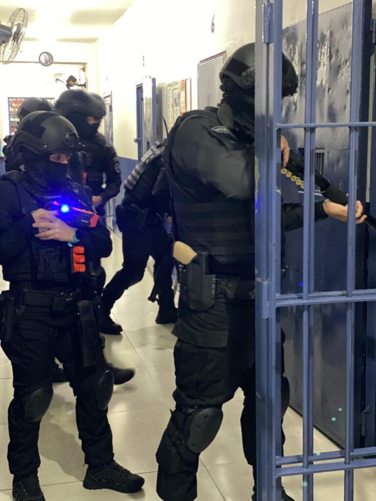 Imagem: divulgação