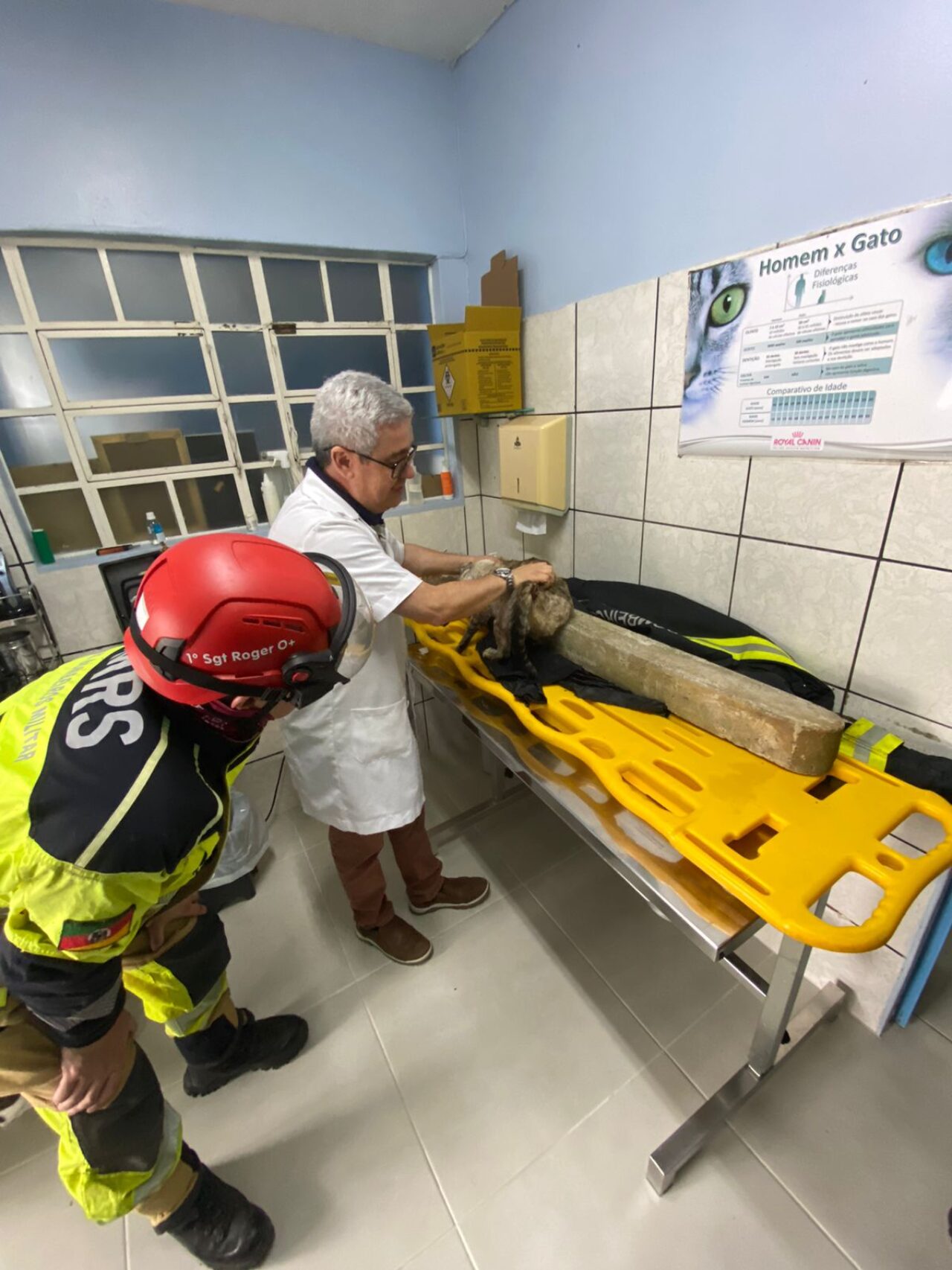 Fotos: Corpo de Bombeiros de Canela