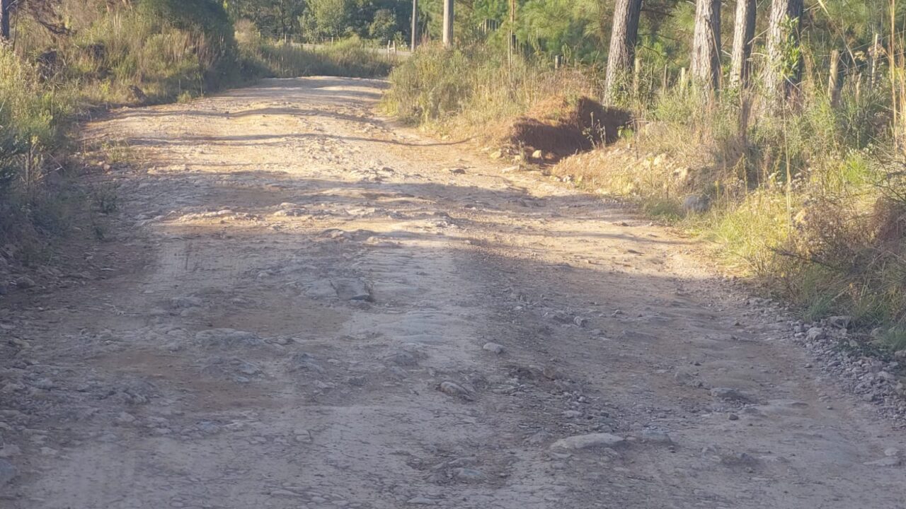 Imagem do WhatsApp de 2025-04-28 à(s) 15.27.40_cf956e86