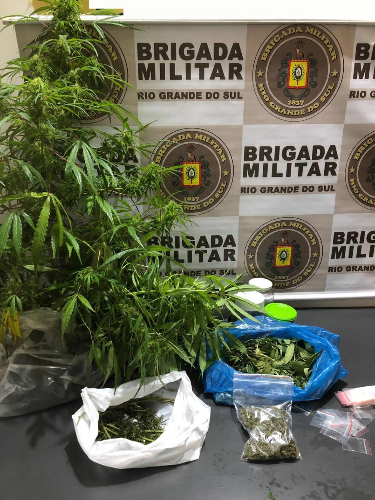 Imagem do WhatsApp de 2025-06-20 à(s) 11.49.40_fed2670d
