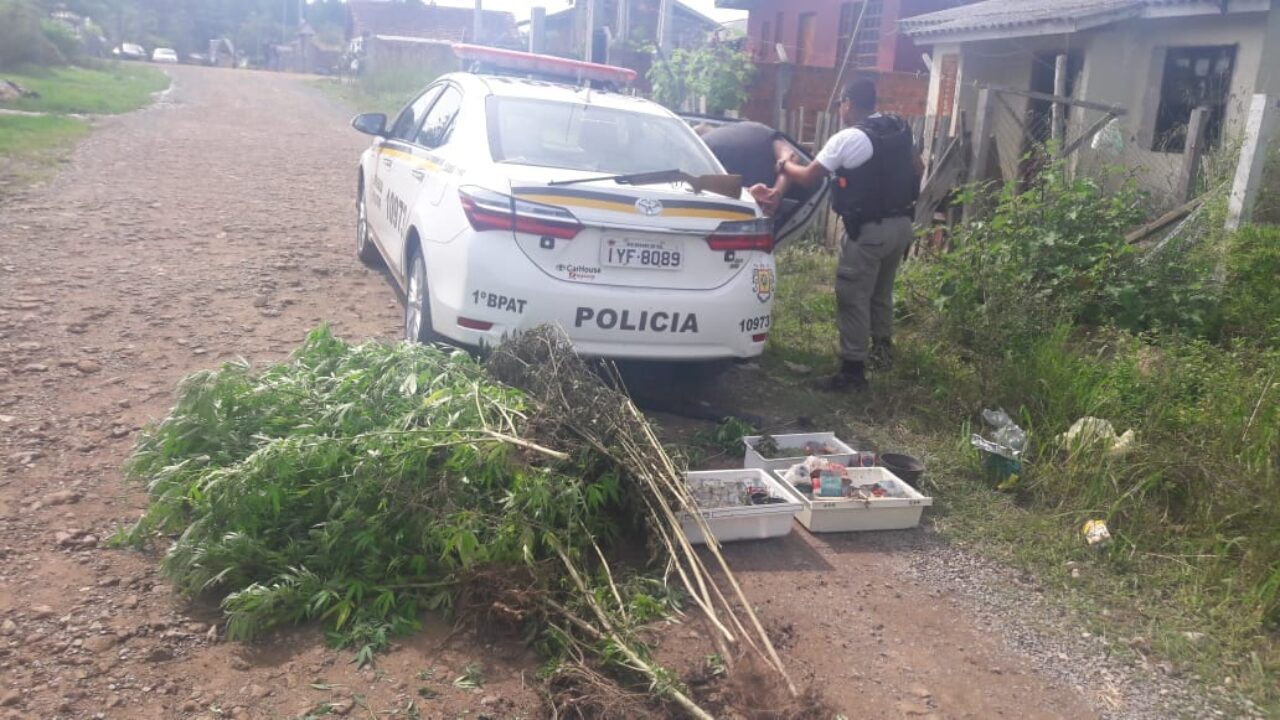 Maconha