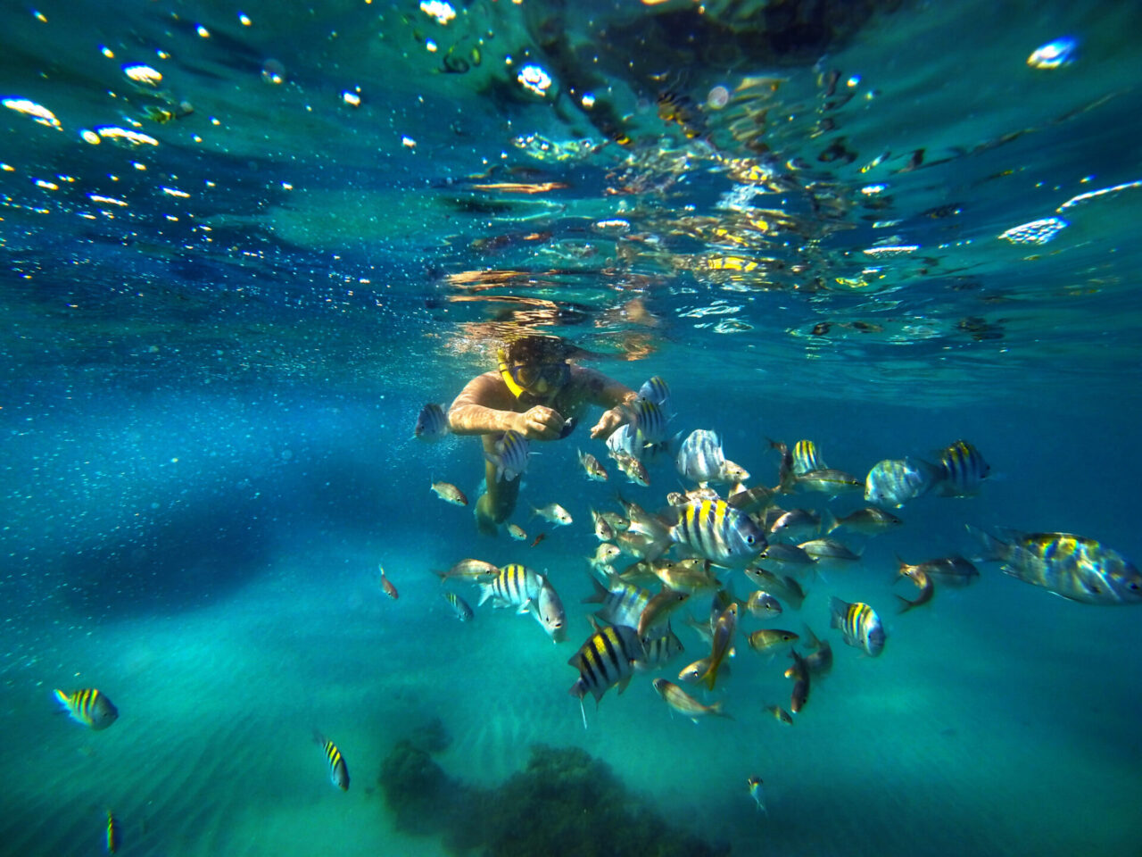 DCIM101GOPRO