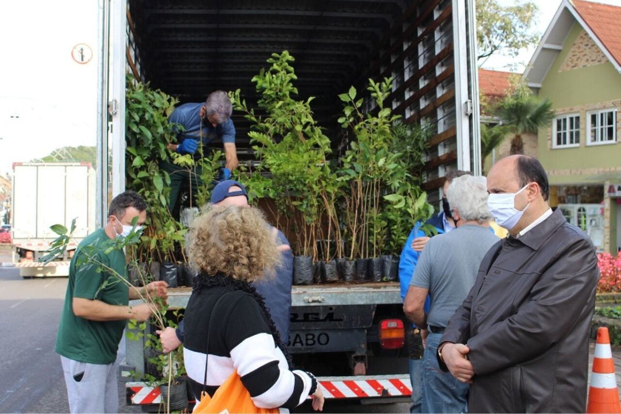 MeioAmbiente_CarlosBorges (1)