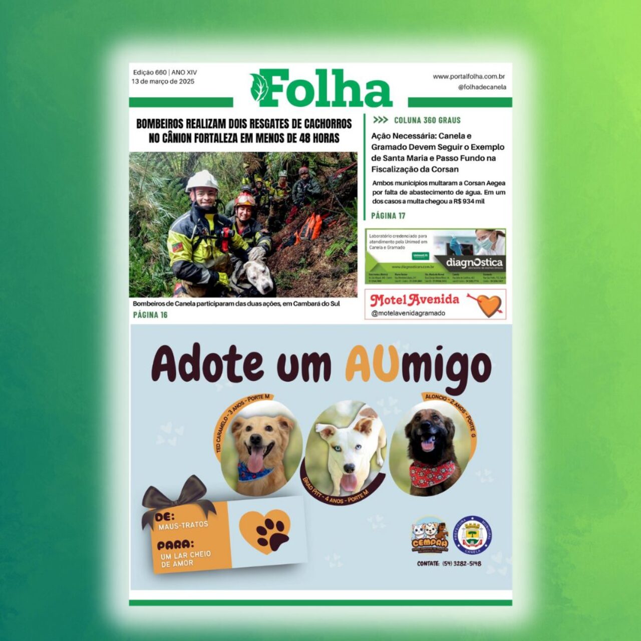 Miniatura capa
