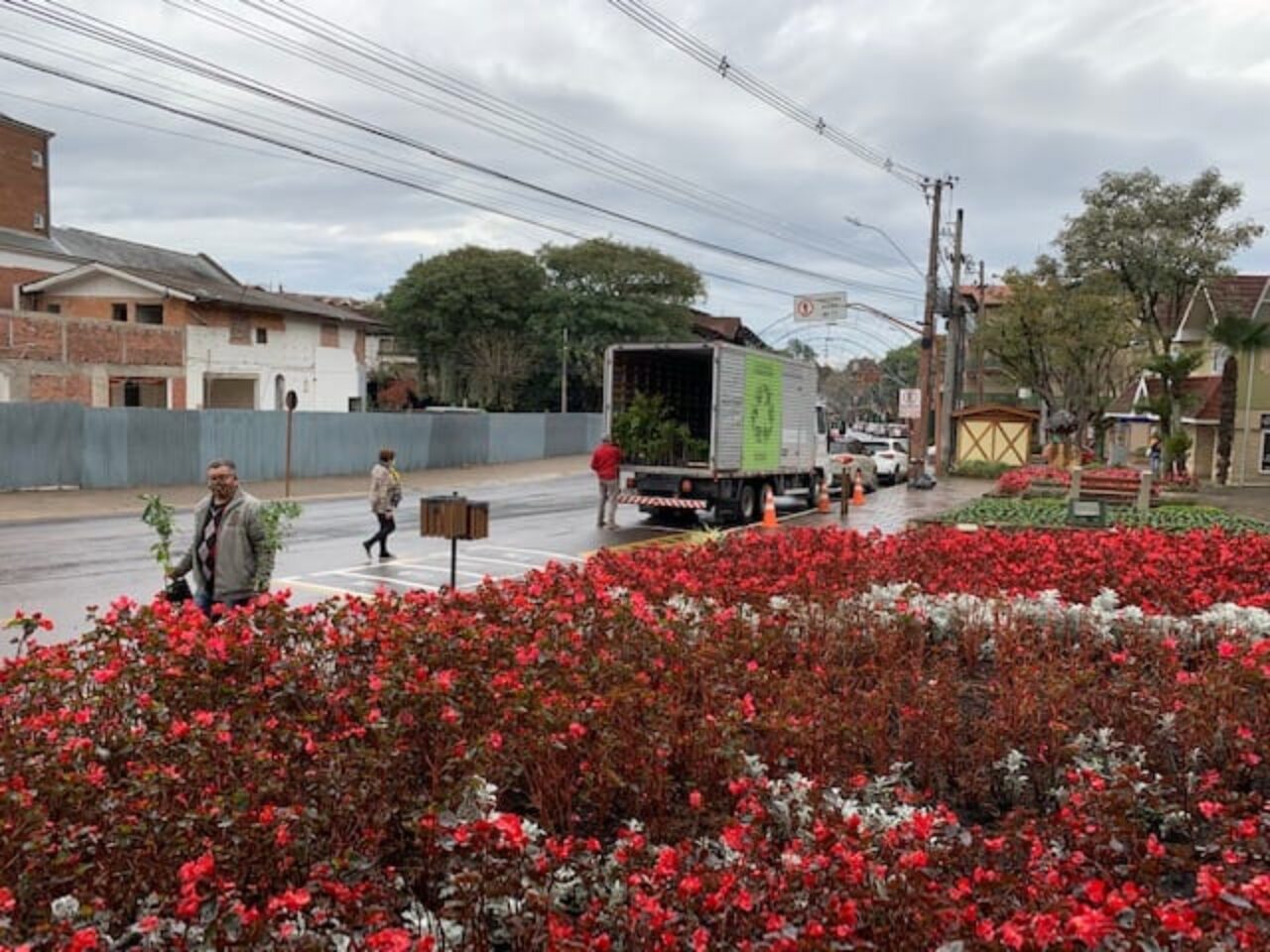 Mudas Gramado
