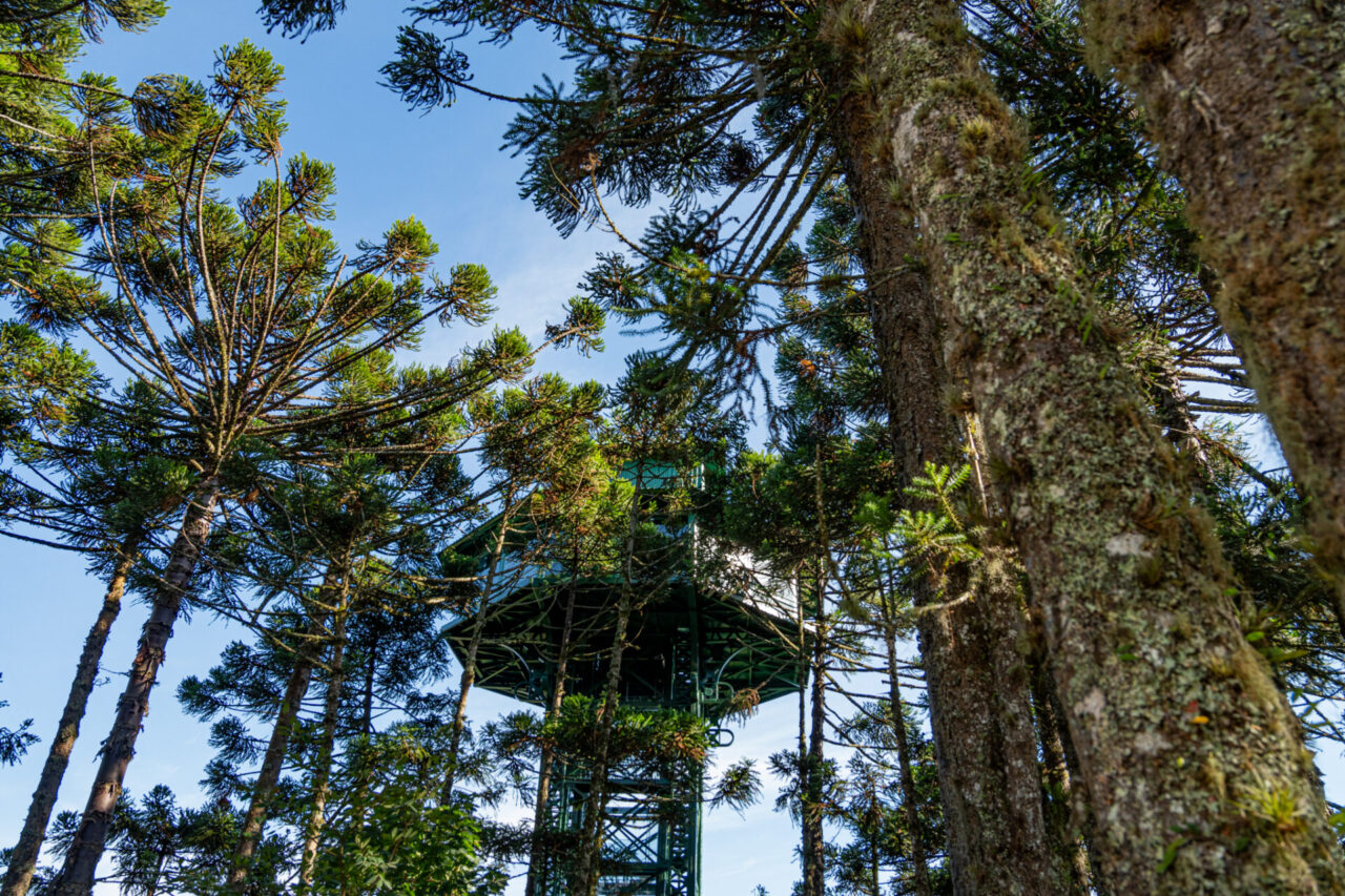 Observatório - A Torre Araucária
Divulgação/Parque do Caracol