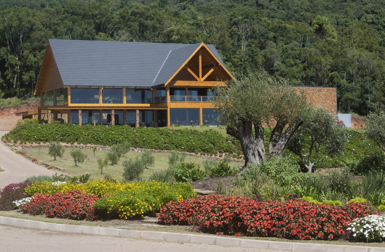 Olivas