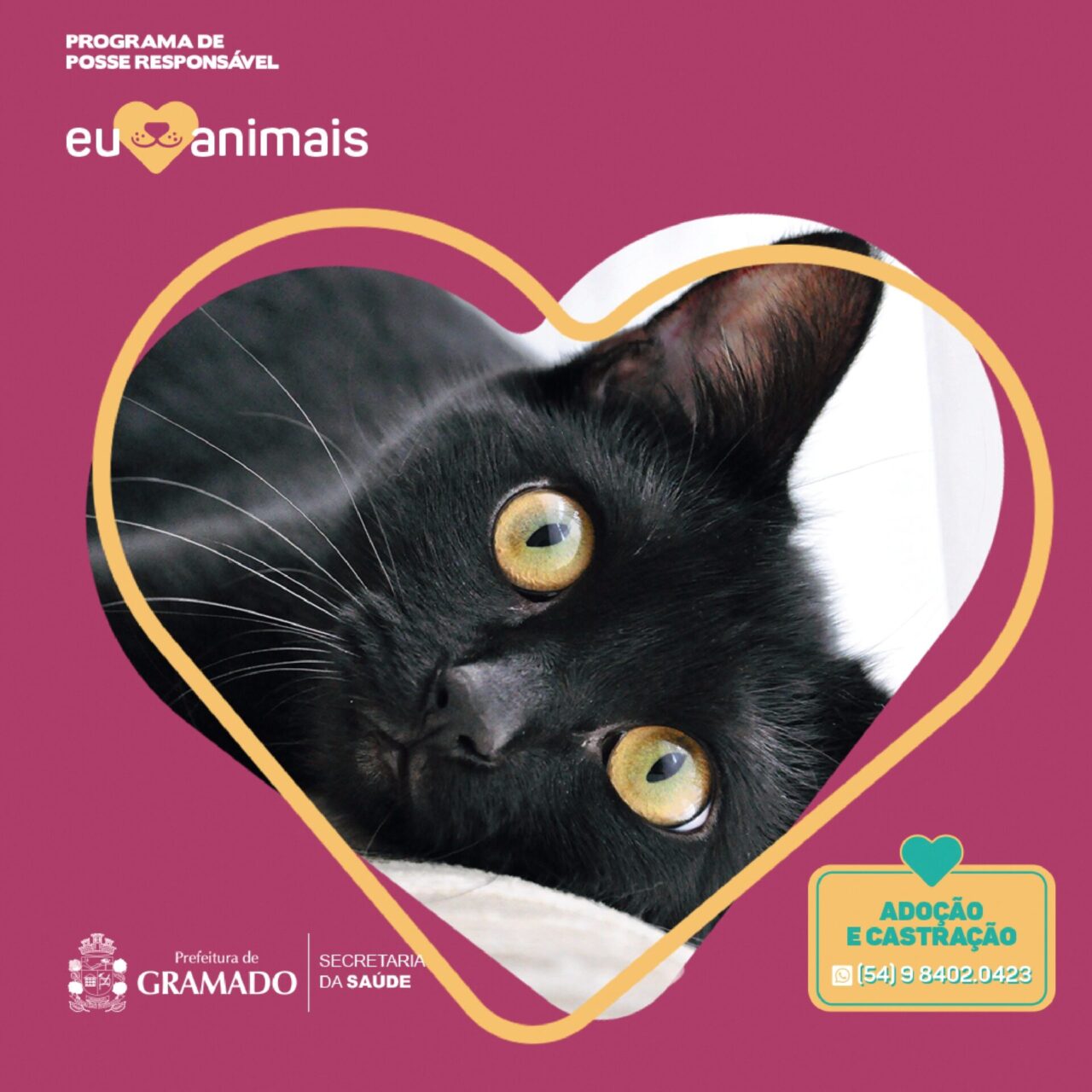 PRE-0010-22-Campanha-Pets-Cards-04_page-0001-1