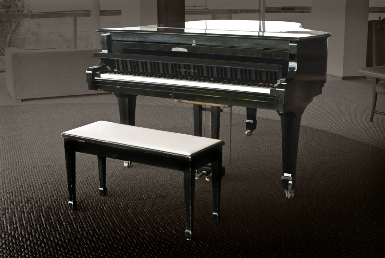 Piano-de-caudafotos-Canela-Instituto-de-Fotografia-e-Artes-Visuais-scaled