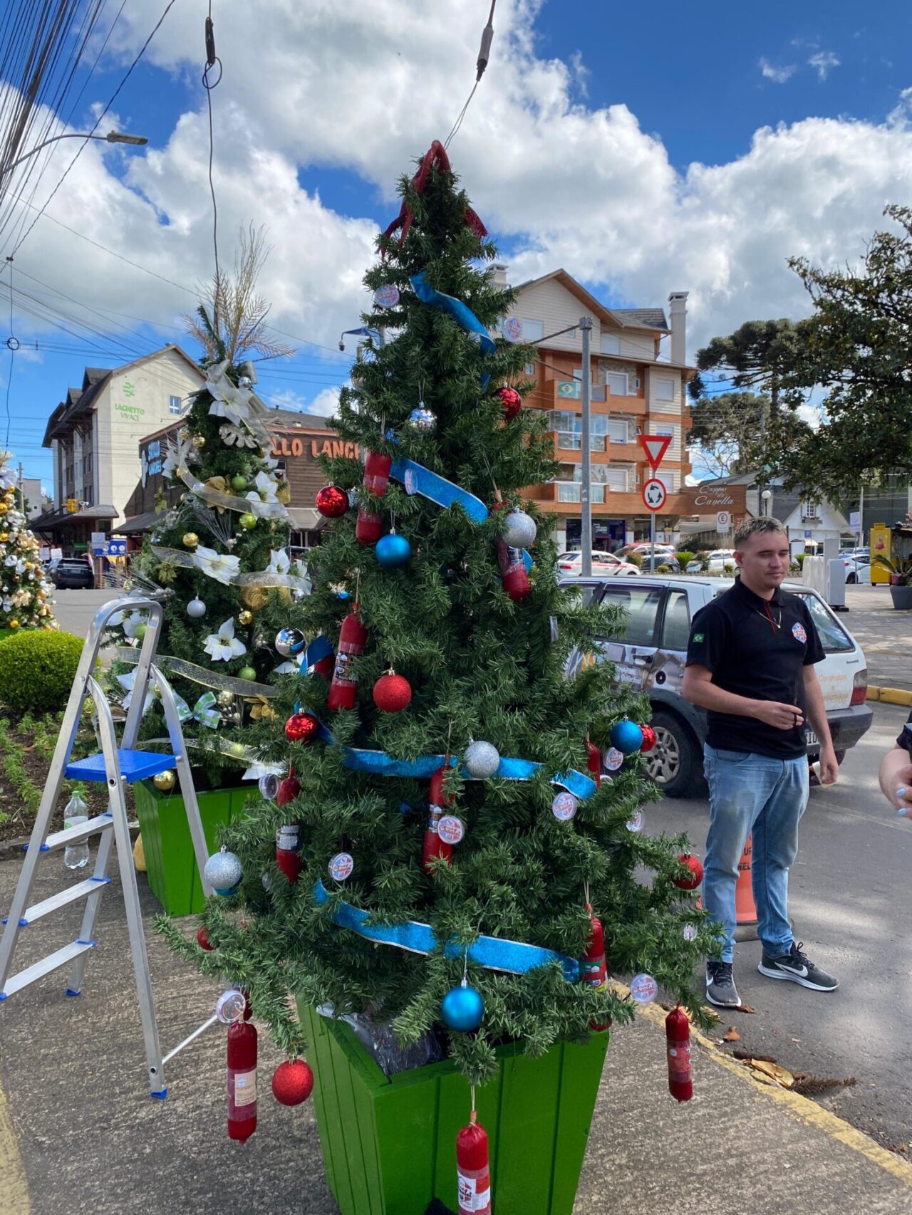 Fotos: João da Rosa
