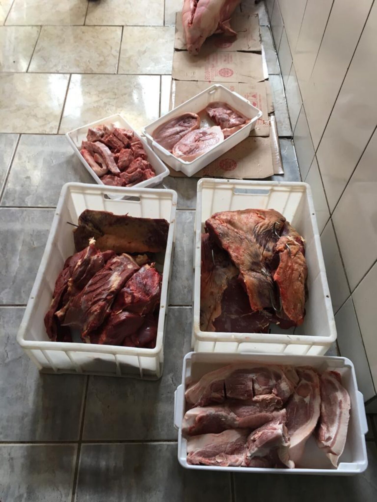 Polícia Civil apreende cerca de uma tonelada de carne imprópria para consumo na região