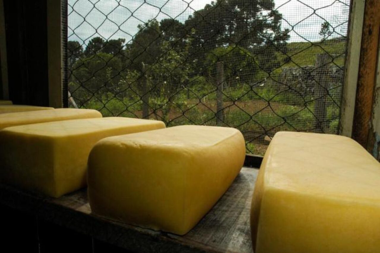 Queijo Serrano