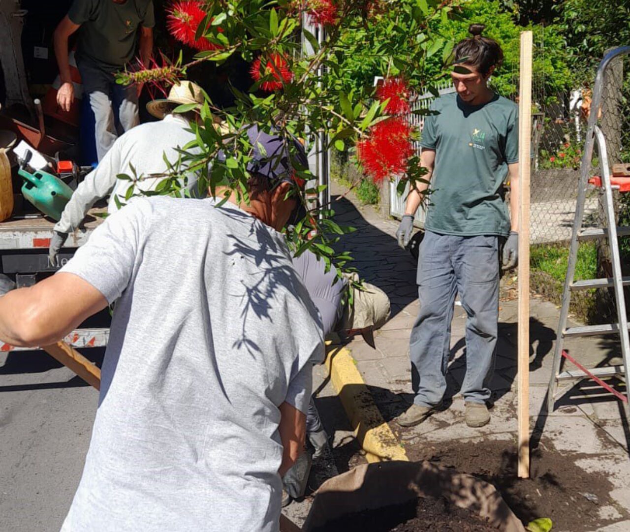 Foto: Prefeitura e RGE trabalham em conjunto no plantio.