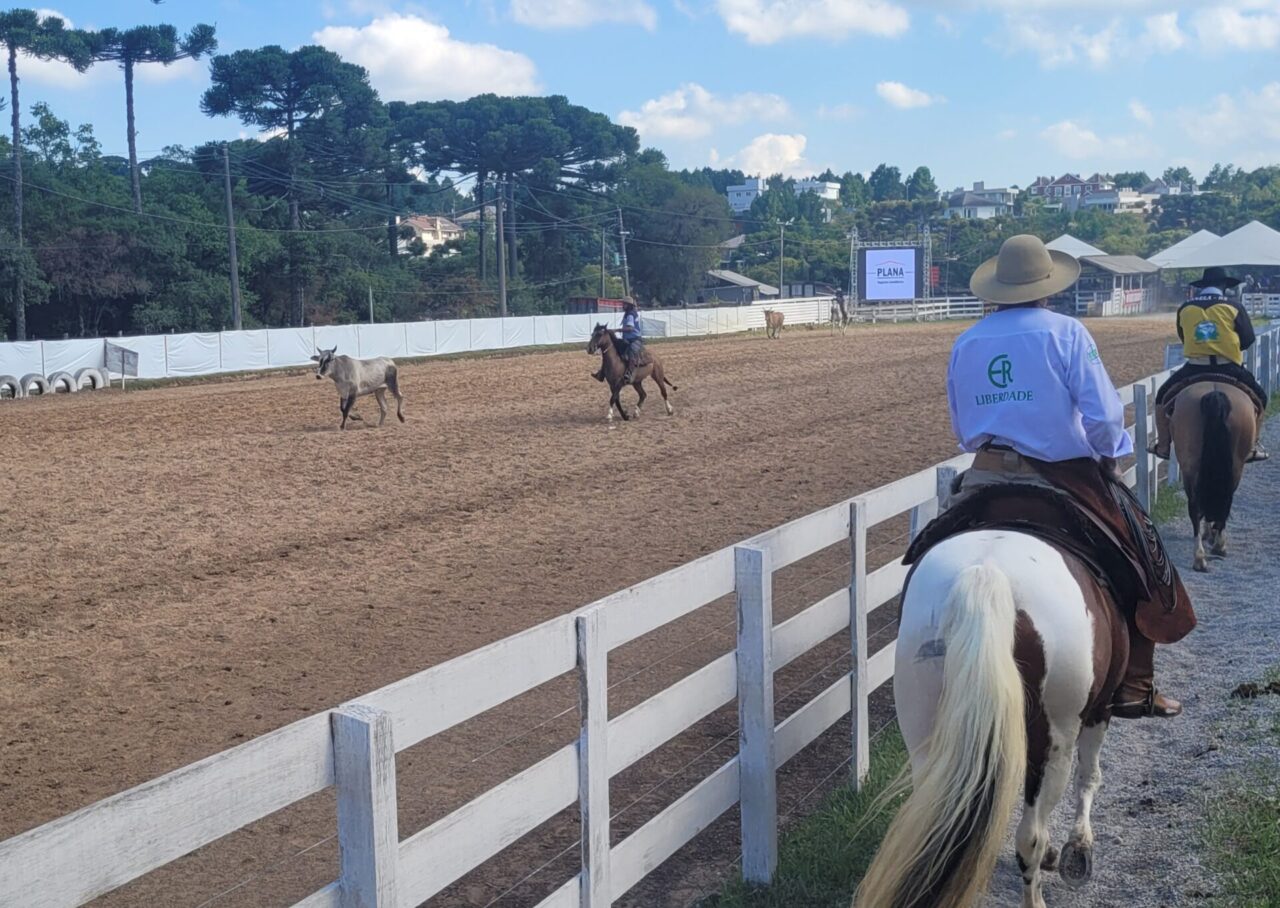 Rodeio 2024
