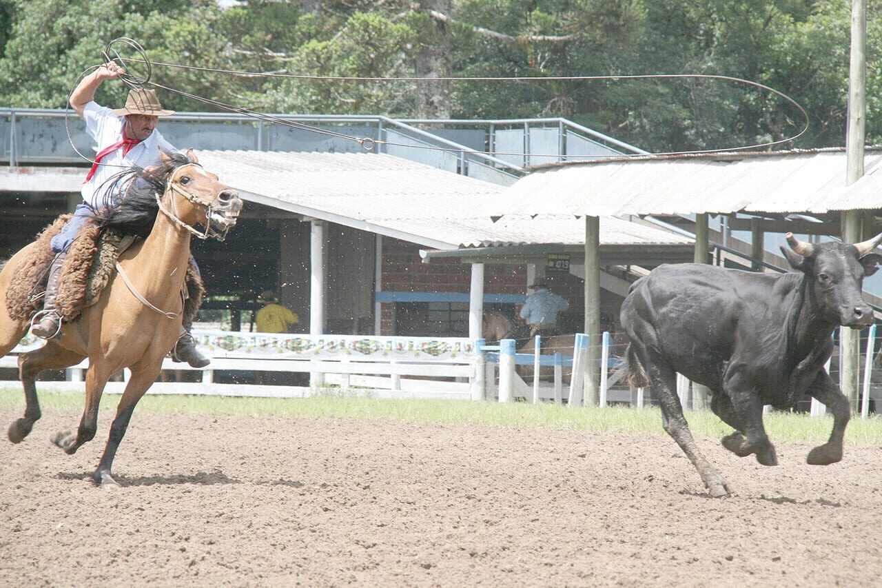 Fotos: Arquivo/Folha -
 As provas campeiras vão distribuir mais de R$ 50 mil em prêmios