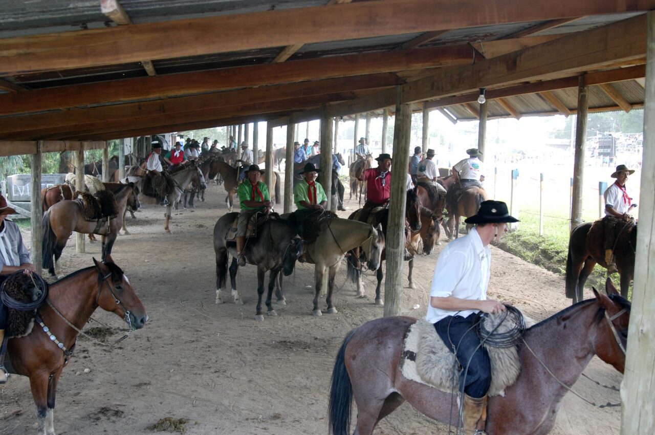 Os animais estão sendo inspecionados para participar do evento