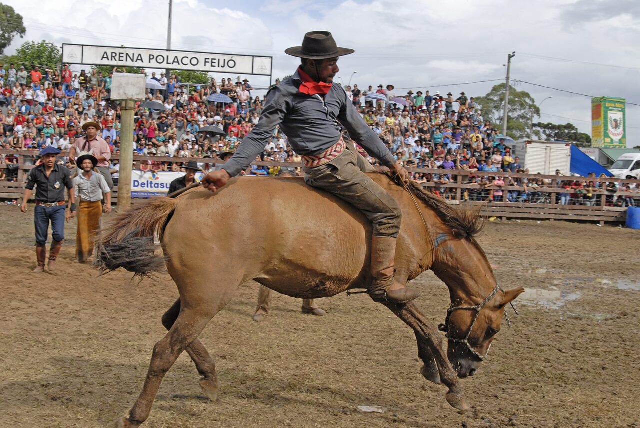 Rodeio