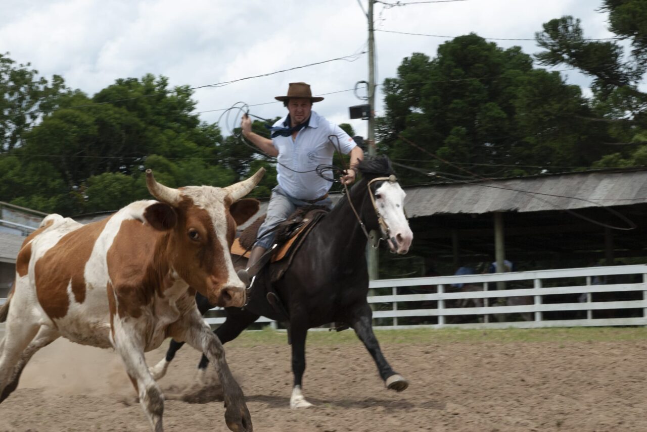 Rodeio