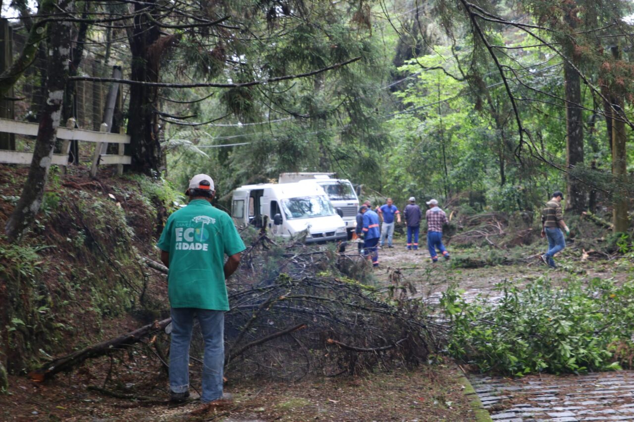 Secretaria de Obras atua na limpeza da cidade e retirada de galhos das vias públicas