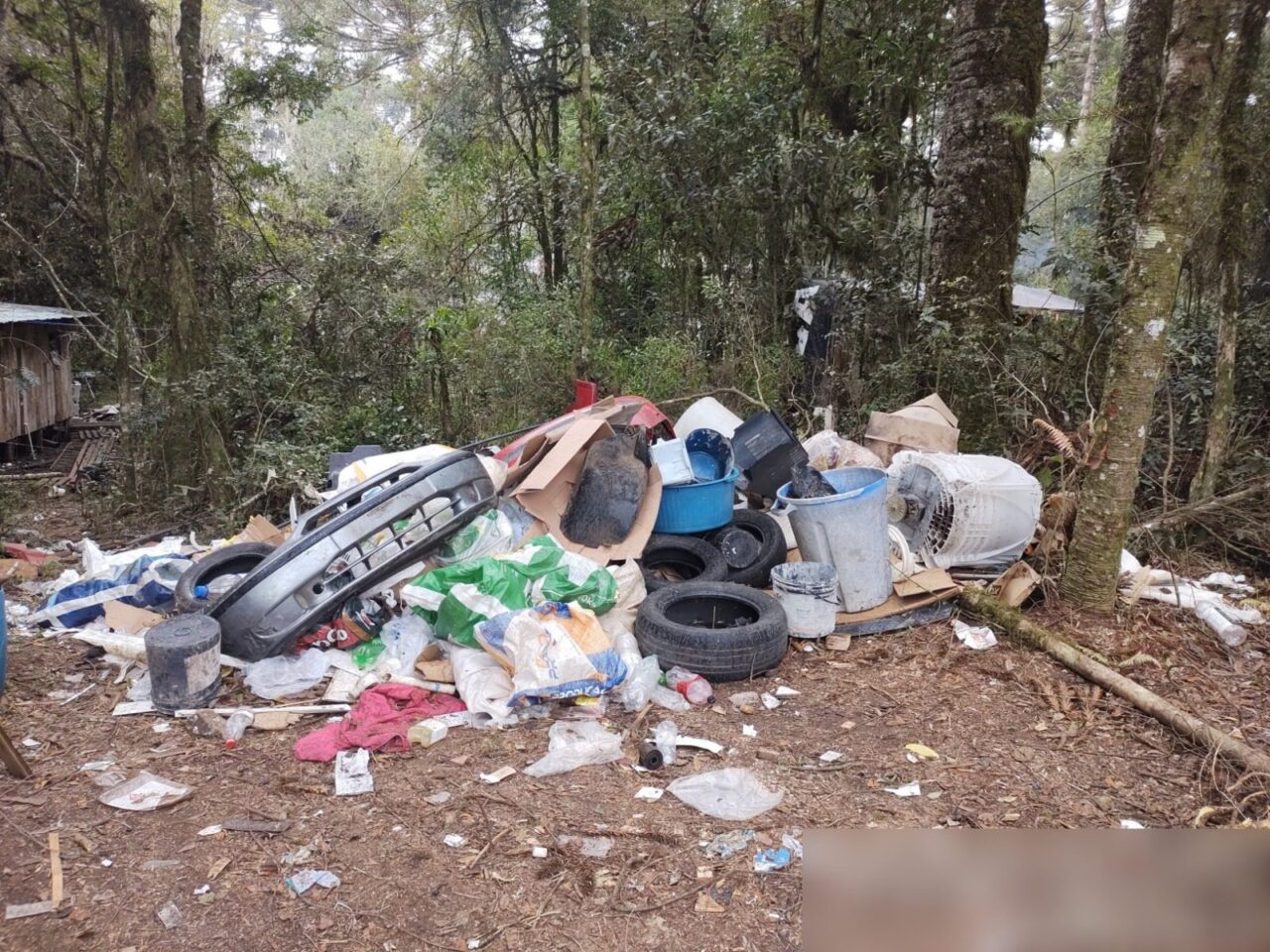 Sem título