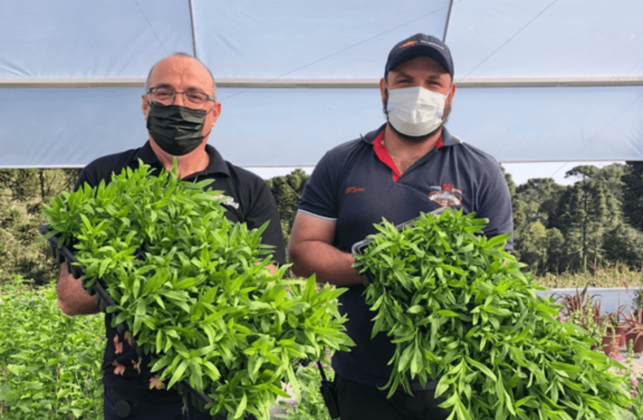 Prefeito Marcos Aguzzolli recebe plantas do engenheiro Maico Possamai Velho