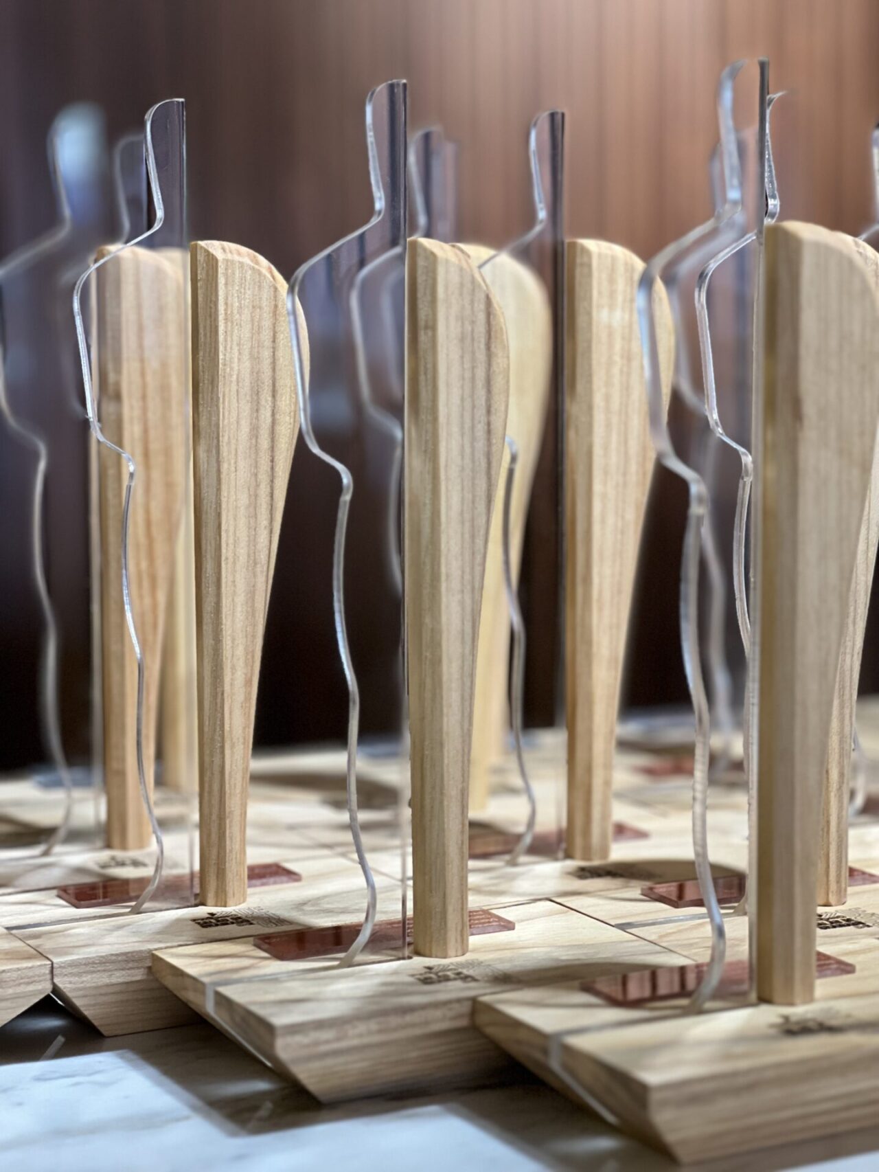 Troféu Prêmio Salão de Gramado de Design (1)
