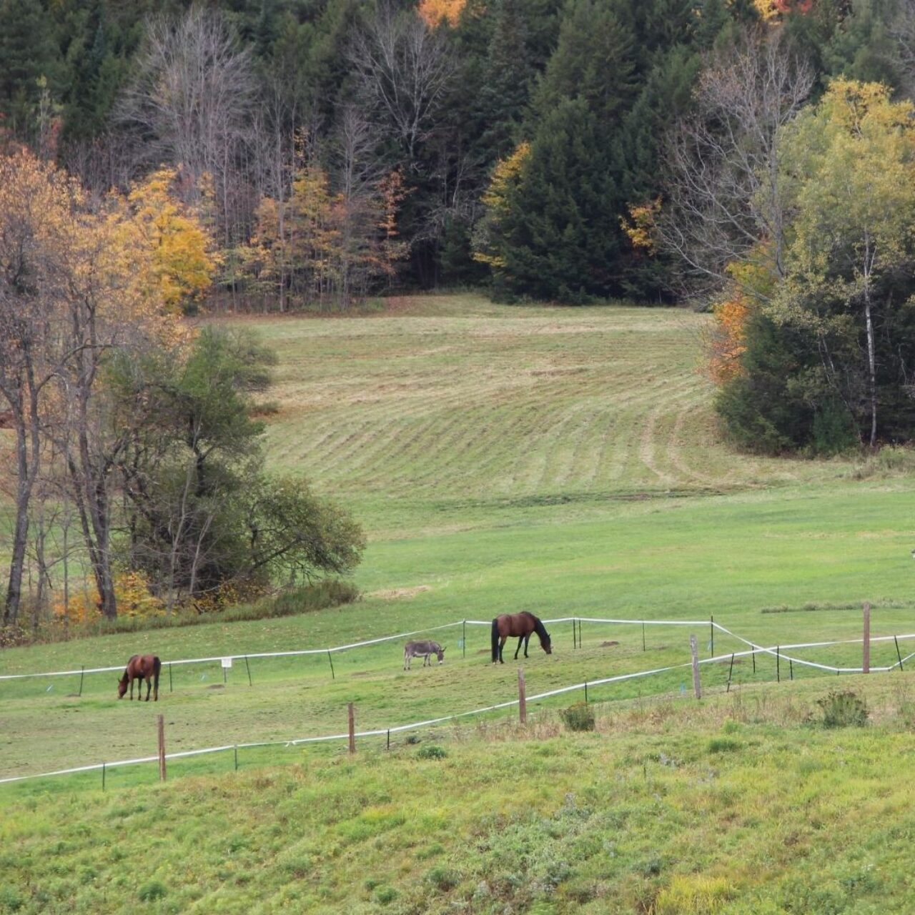 Turismo Rural