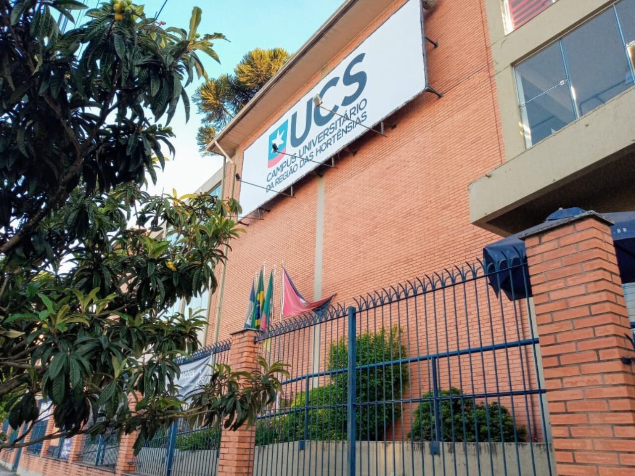 UCS Hortênsias acompanha crescente busca por cursos de EaD