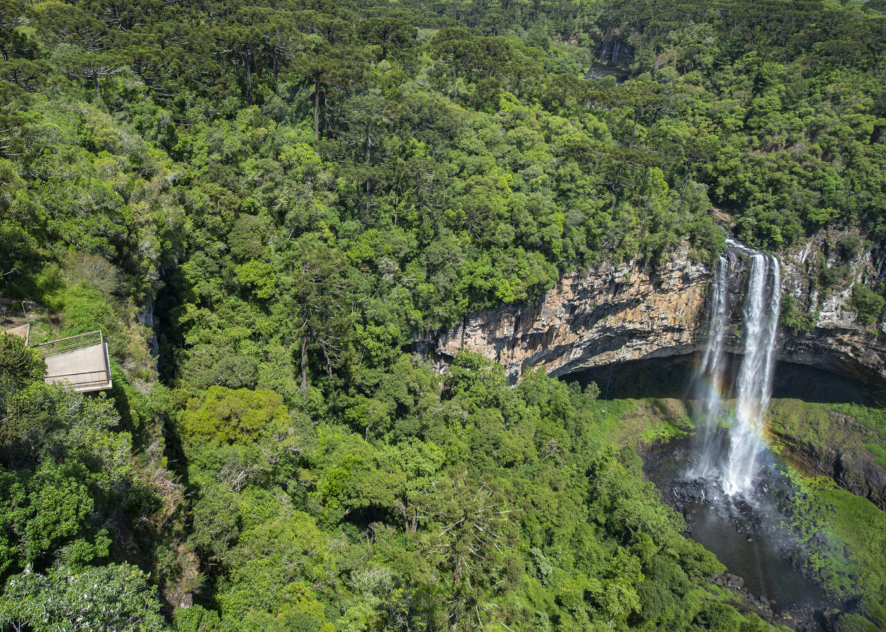O Parque do Caracol terá seis atrações inéditas no próximo ano.
Foto: Rafael Cavalli