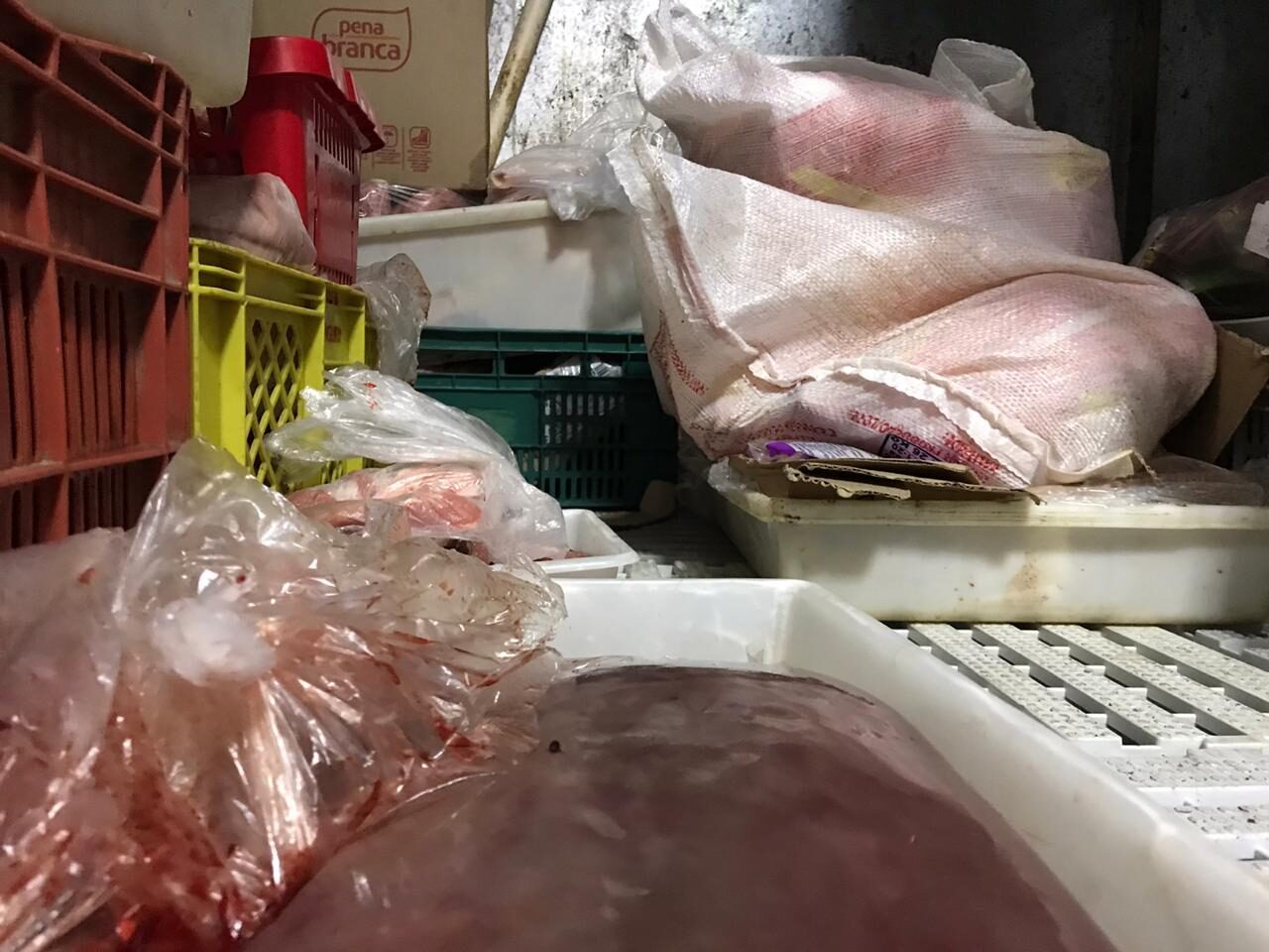 WhatsApp Image 2019-12-19 at 15.02.28