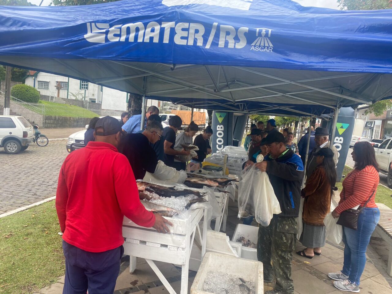 Foto: Divulgação Emater/RS-Ascar.