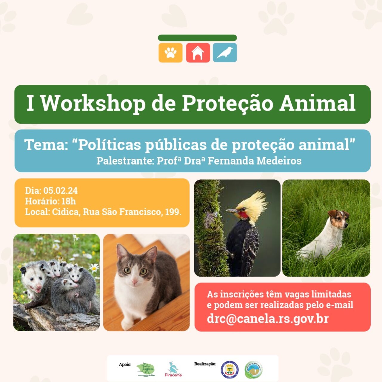 Workshop - MA(1)