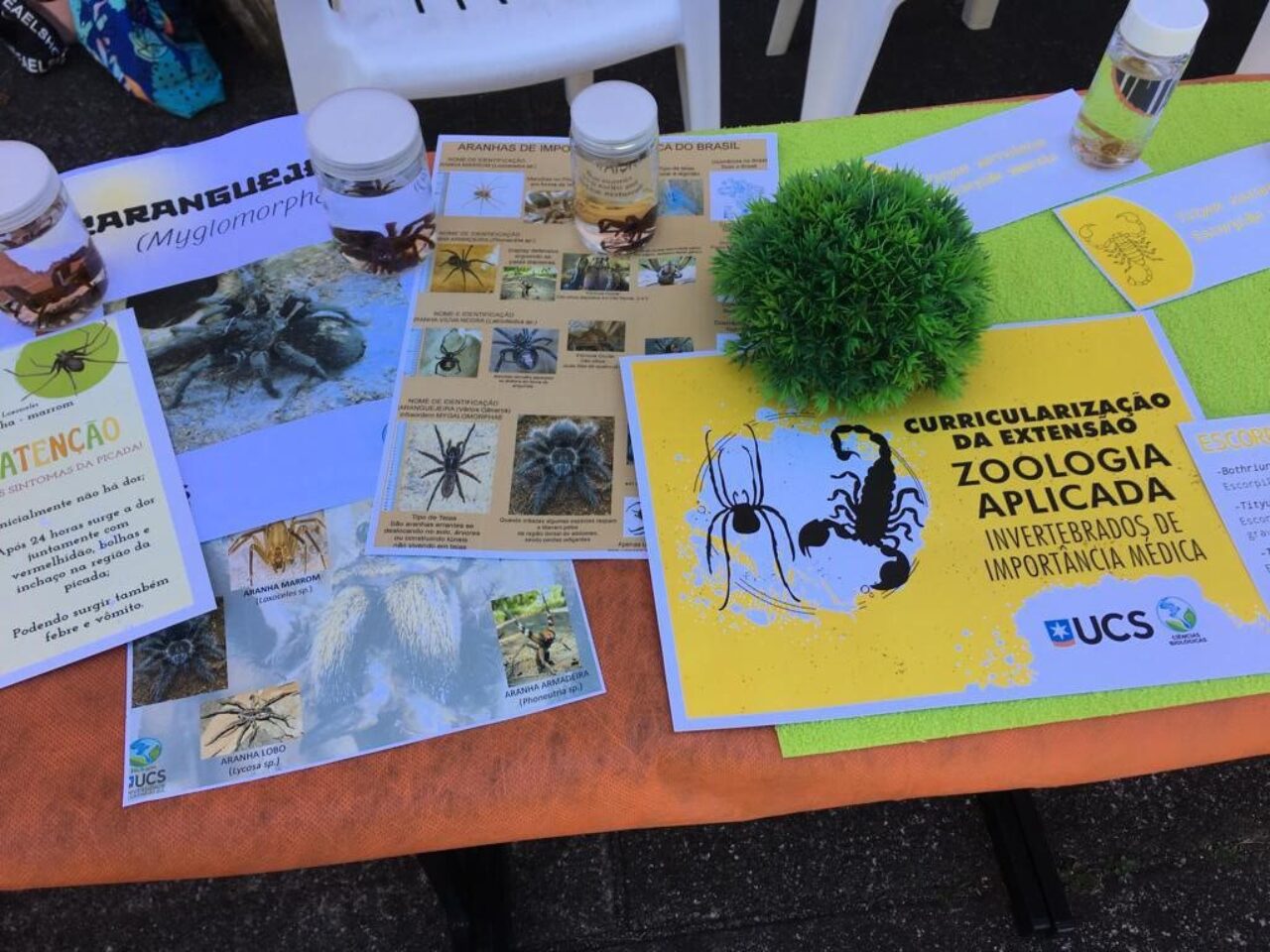 Zoologia2