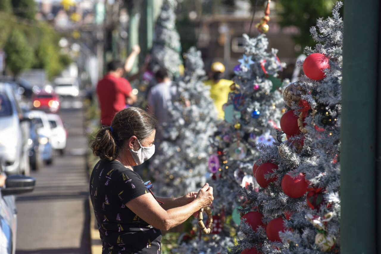 22_10_2020_Sonho de Natal_ Arvores do Sonho. Foto Rafael Cavalli/SerraPress