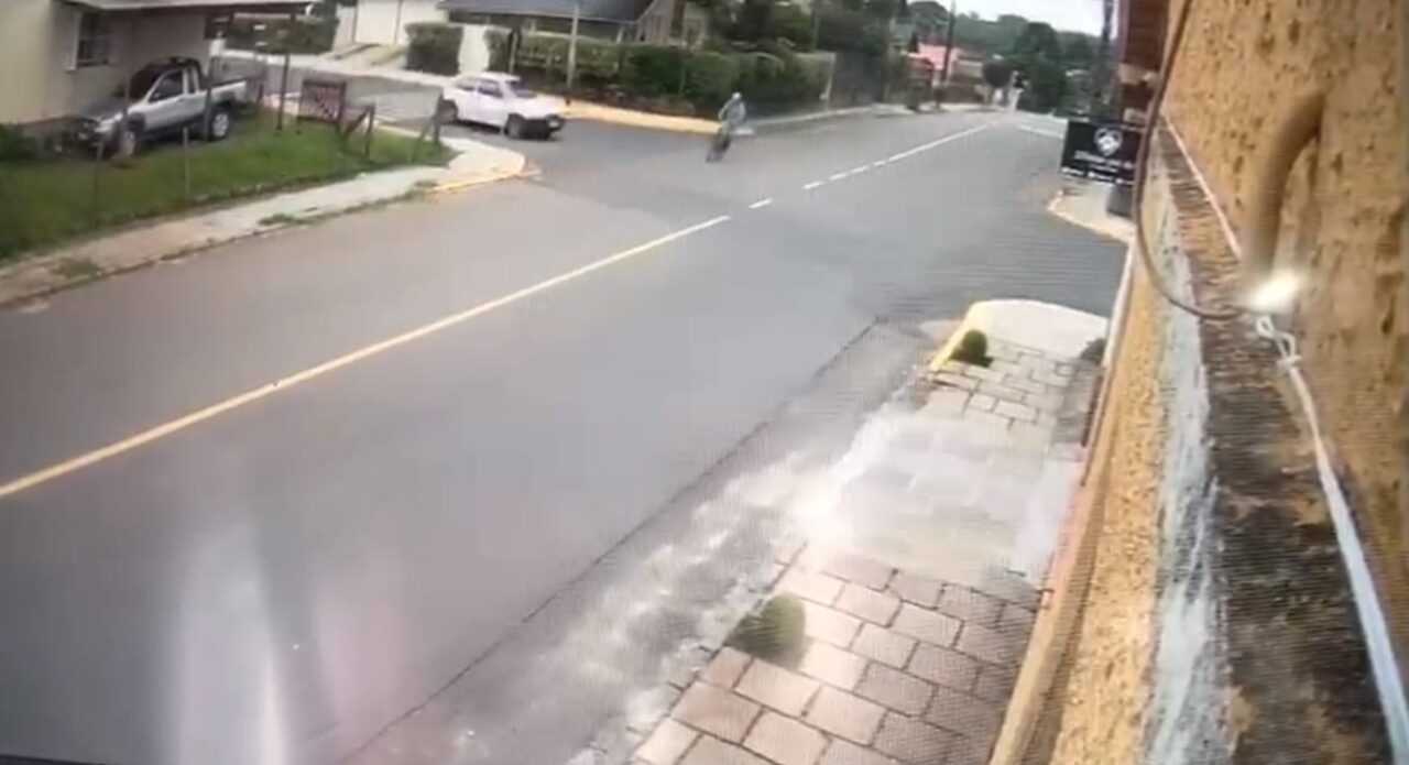 atropelamento