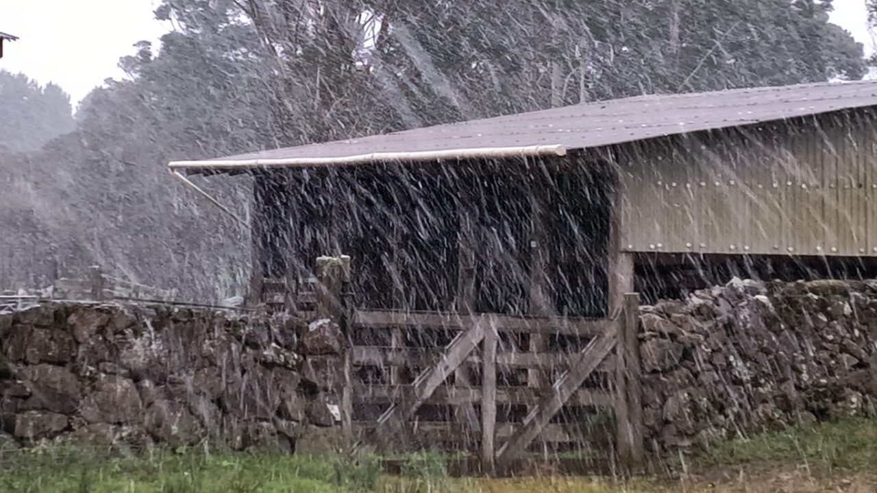 Neve em São José dos Ausentes nesta manhã de quinta-feira | ALEXANDRE PEREIRA/METSUL