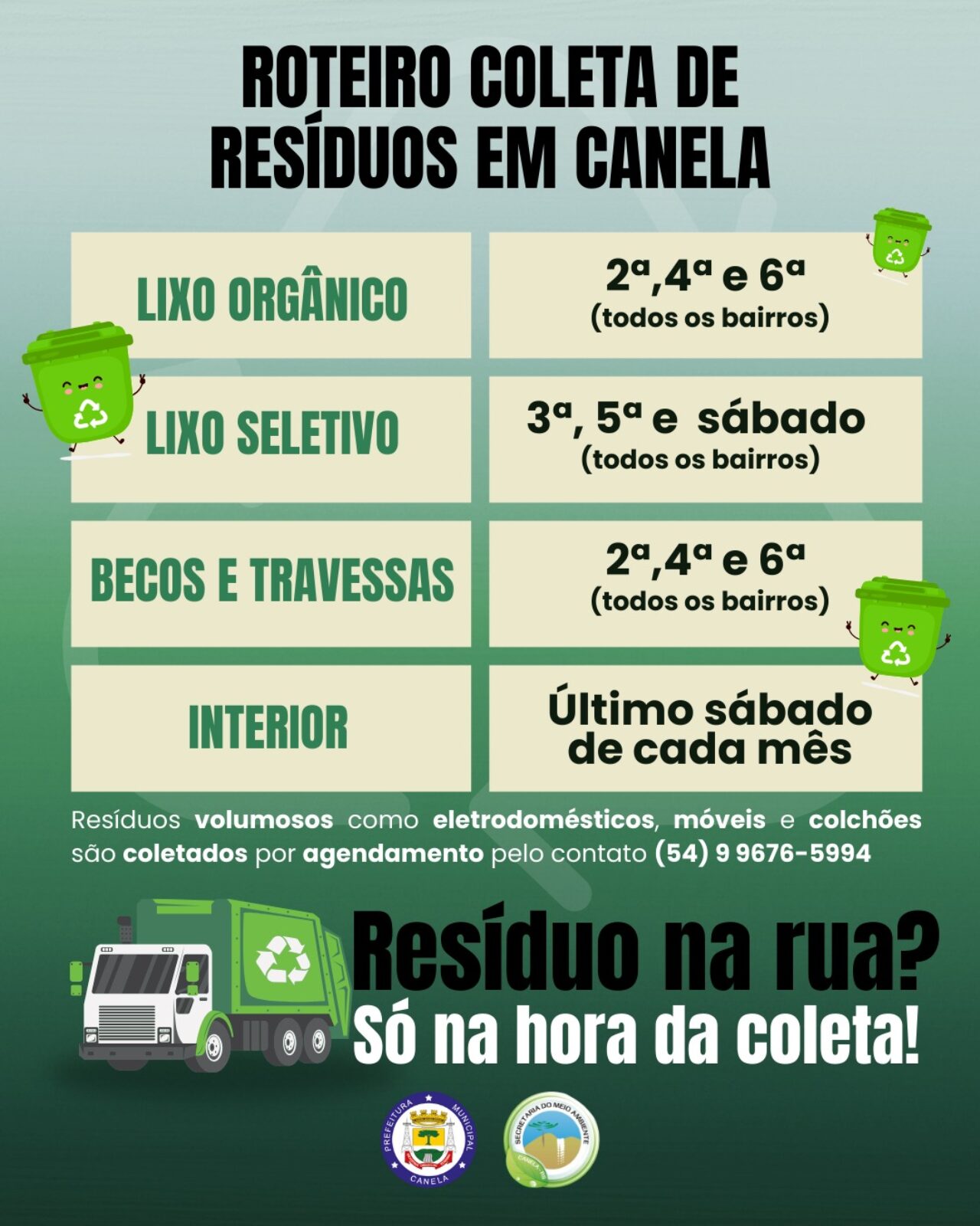 card informativo