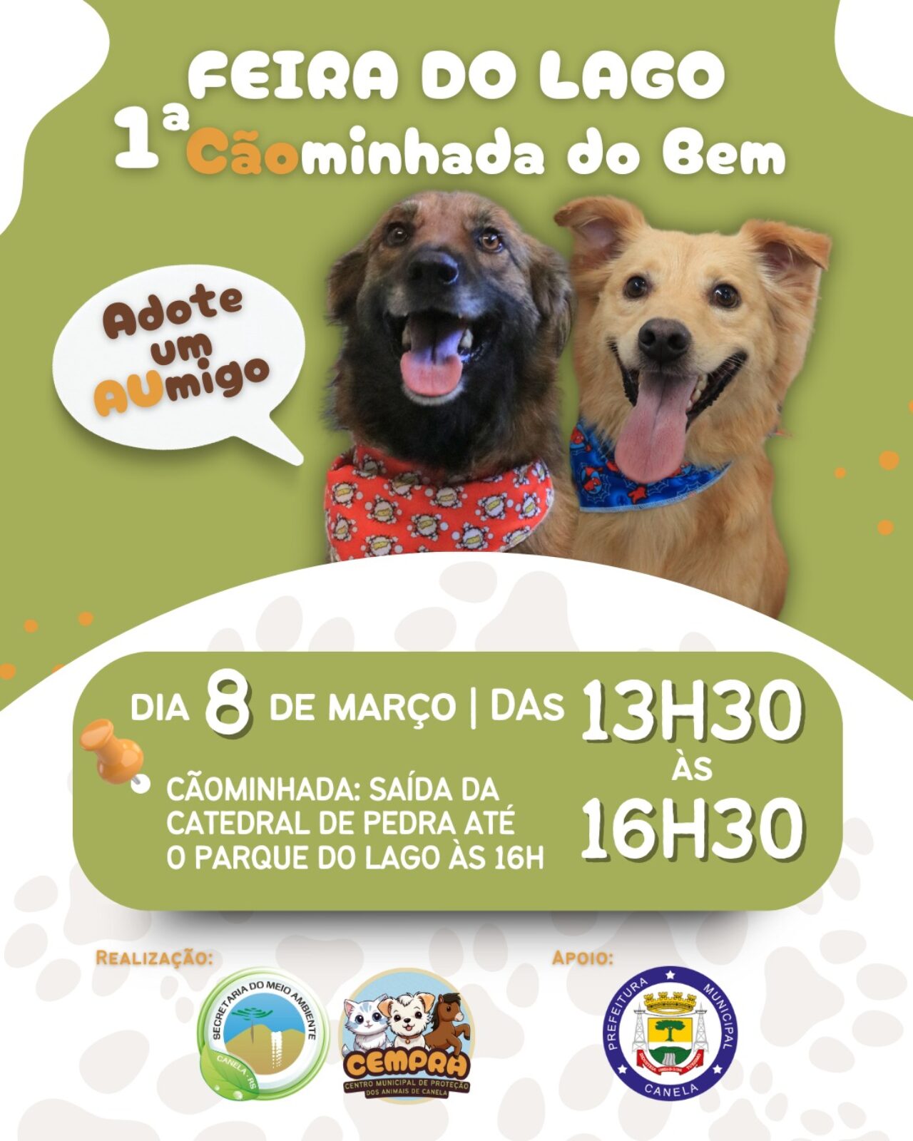 card ok para divulgação